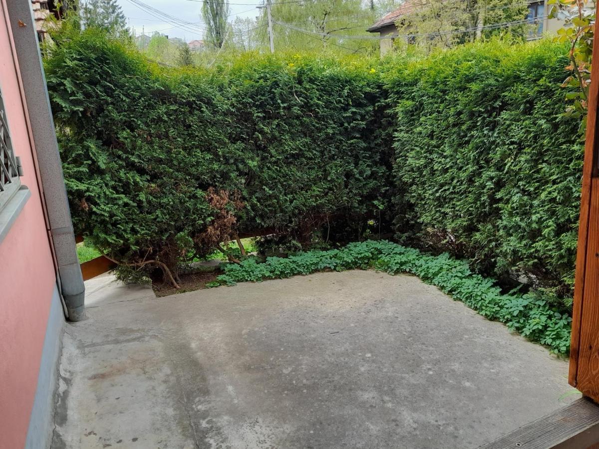 סראייבו Pine Tree Apartment מראה חיצוני תמונה